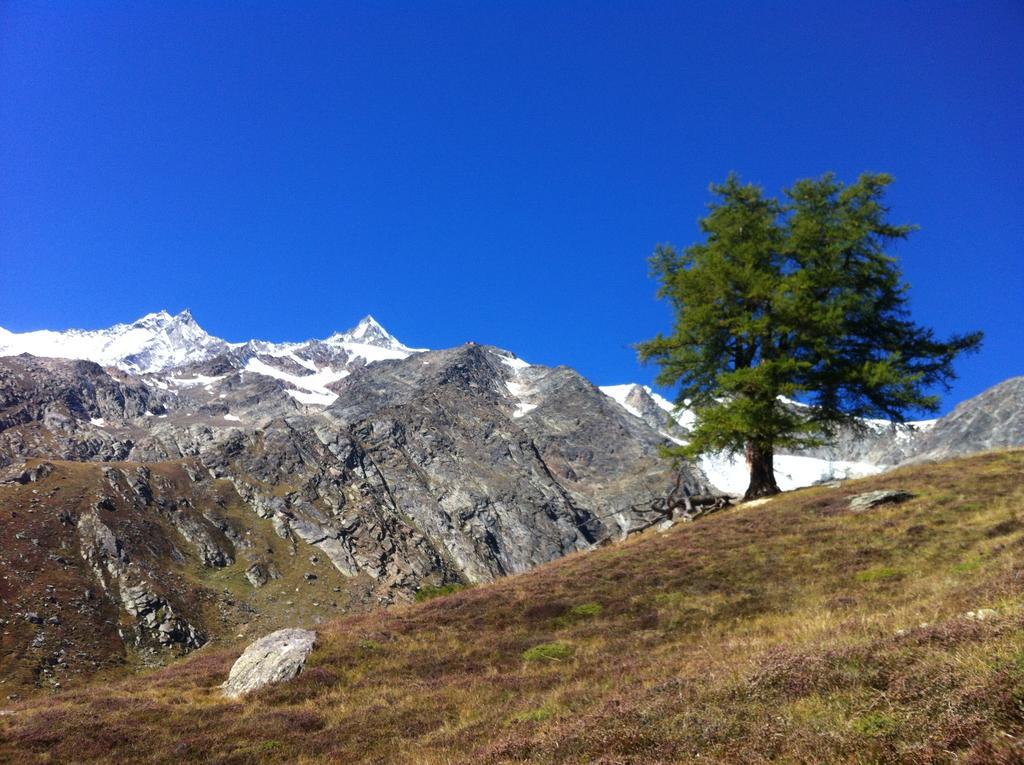 Apartmenthaus Sunshine Saas-Grund Exteriör bild